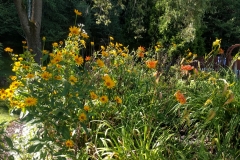 Wedding Grounds